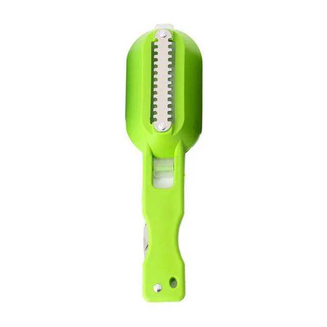 Portable Fish Scales Remover