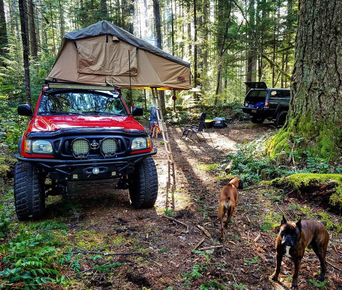Tuff Stuff Ranger Overland 3 Person Roof Top Tent & Annex
